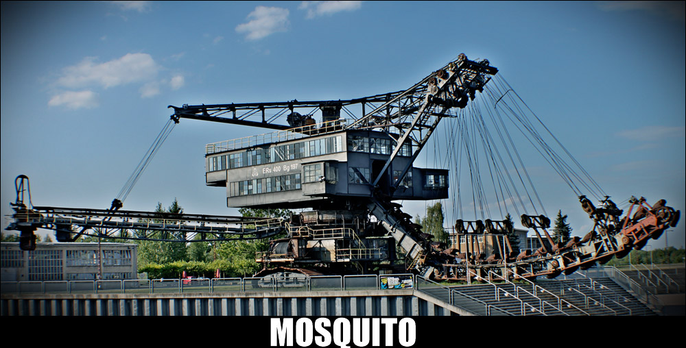 Mosquito.jpg