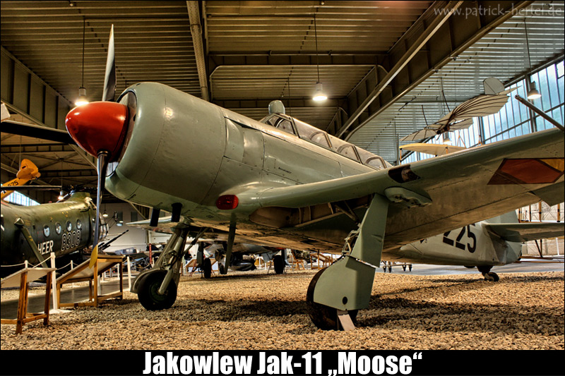 Jakowlew-Jak-11-Moose.jpg