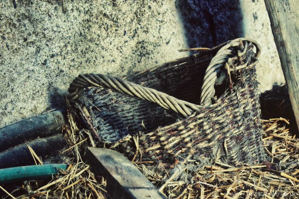 needle-in-the-hay.jpg